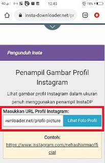 Cara Menyimpan Foto Profil Instagram Orang Lain Tanpa Aplikasi
